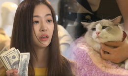 韩国电视剧姐姐还活着,揭秘生死轮回的悬疑传奇
