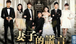 电视剧妻子的谎言,揭秘婚姻背后的真相与抉择