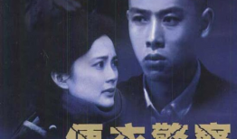 便衣警察电视剧,隐秘战线上的正义守护者