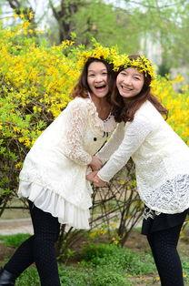 嗨麻豆,揭秘网红经济下的新势力